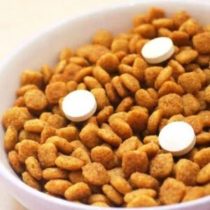 vitamines pour chat dans la gamelle de nourriture